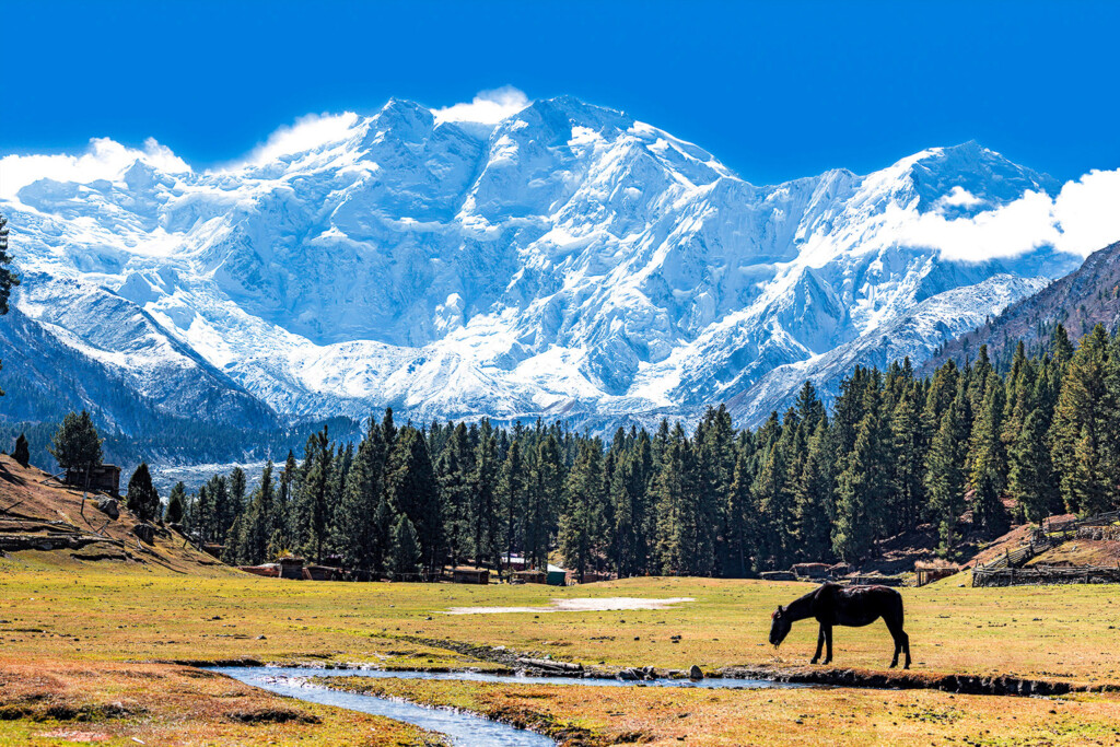 Nanga-Parbat