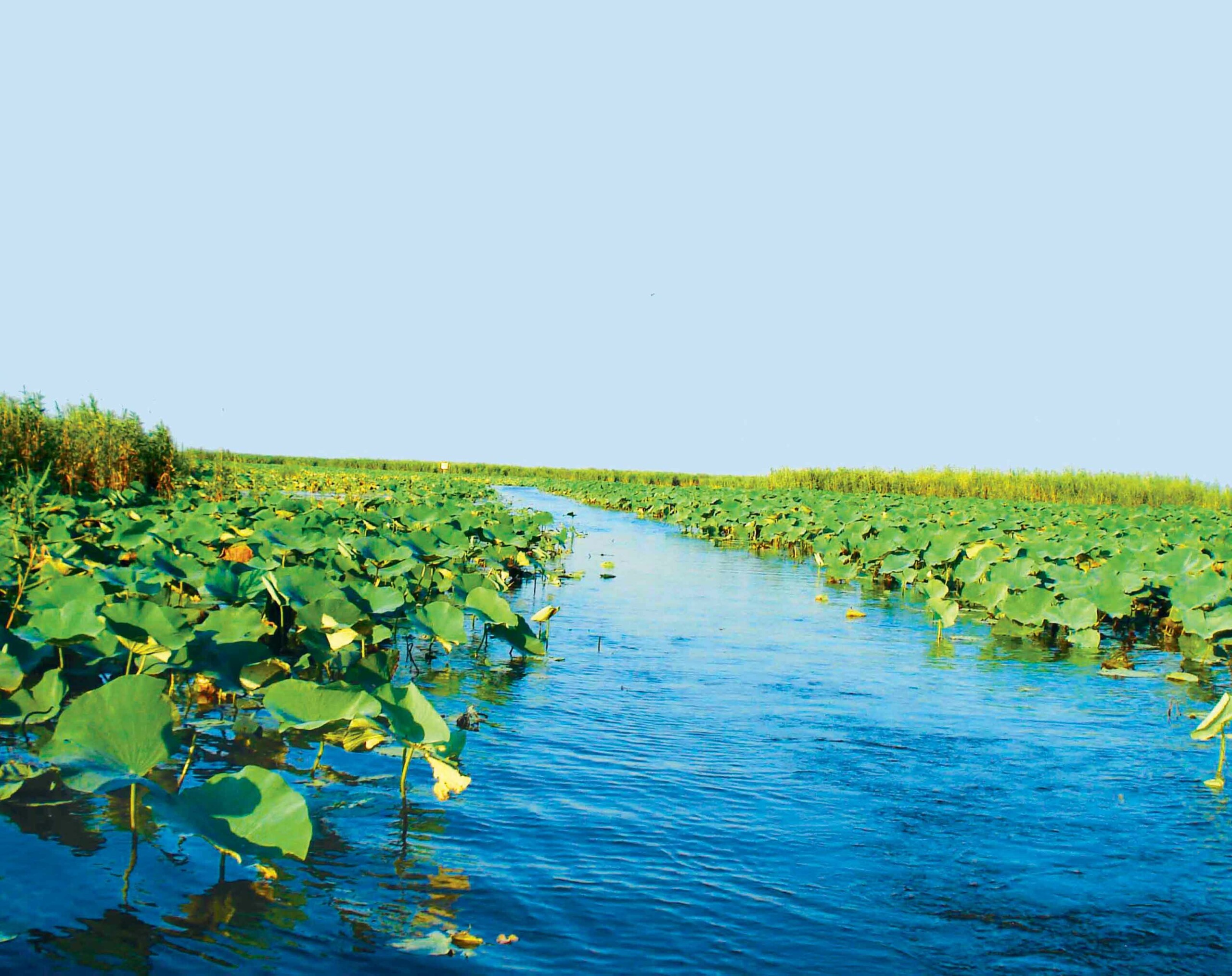 جاهای دیدنی گیلان