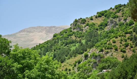 روستای جواهرده رامسر - جاهای دیدنی رامسر