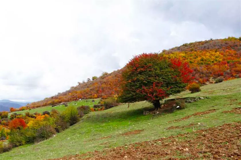 پارک ملی پابند بهشهر - جاهای دیدنی بهشهر