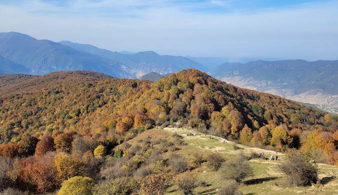 جنگل الیمستان - جاهای دیدنی آمل