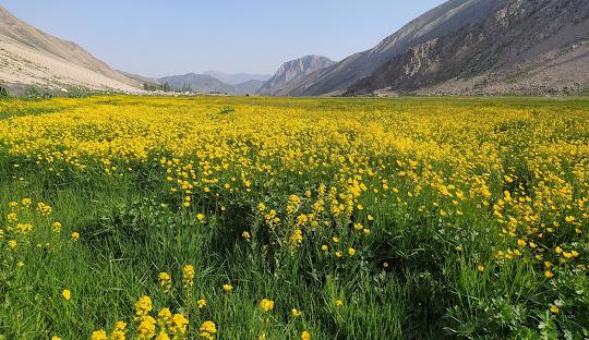 دشت لار - جاهای دیدنی آمل