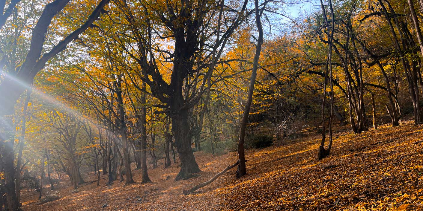  طبیعت‌گردی در پاییز 