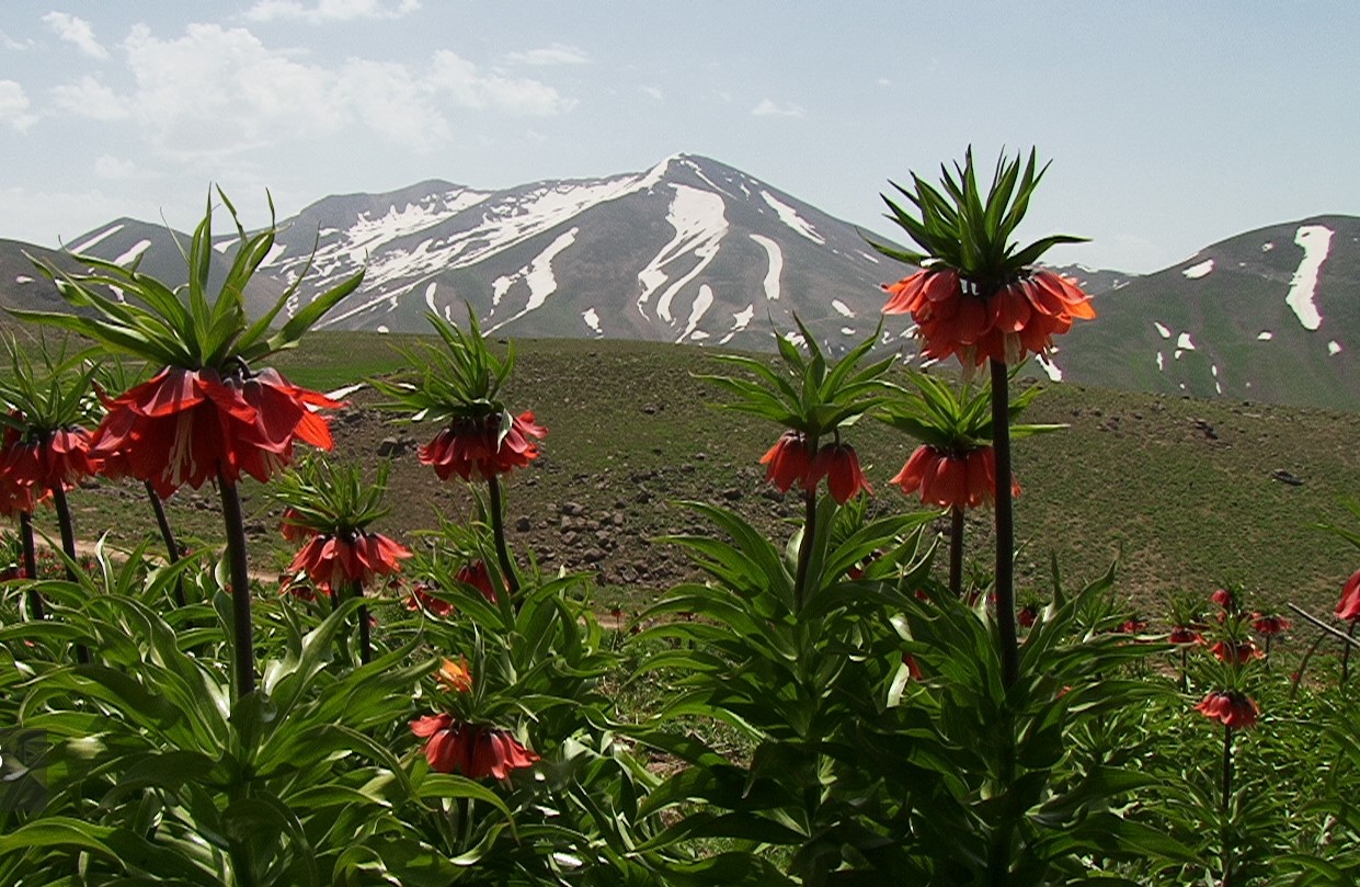  طبیعت‌گردی در پاییز 