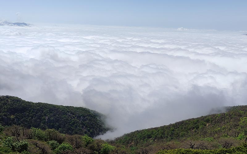 جنگل ابر - جنگل‌های معروف ایران