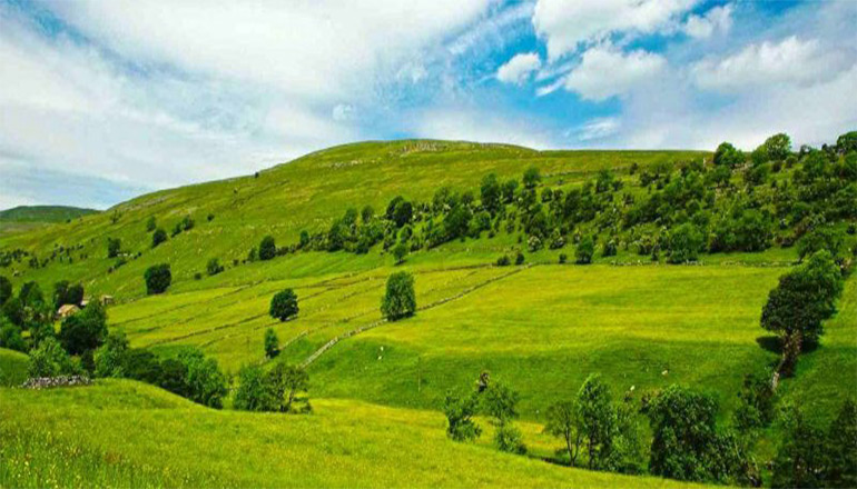 دشت ارژن - جاهای دیدنی شیراز در تابستان