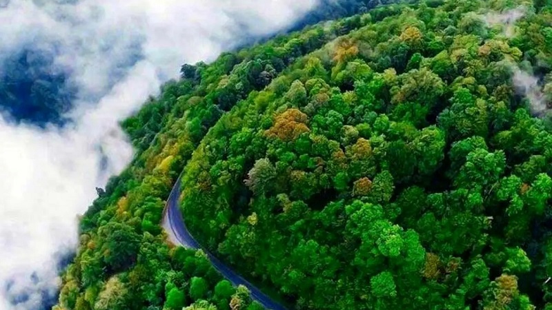 جنگل ارسباران - جاهای دیدنی تبریز در تابستان