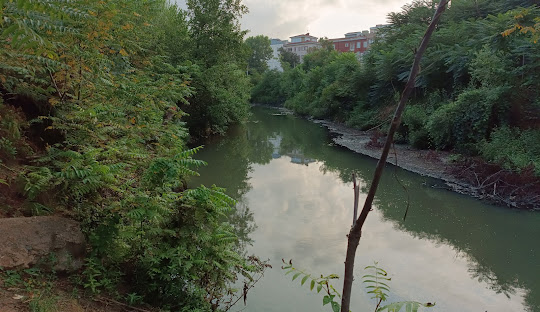 رودخانه زرجوب - جاهای دیدنی رشت در تابستان