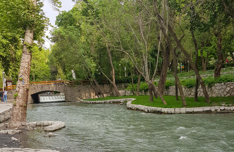 پارک جنگلی وکیل آباد