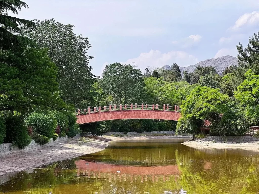 پارک جنگلی جهان نما - جاهای دیدنی کرج در تابستان